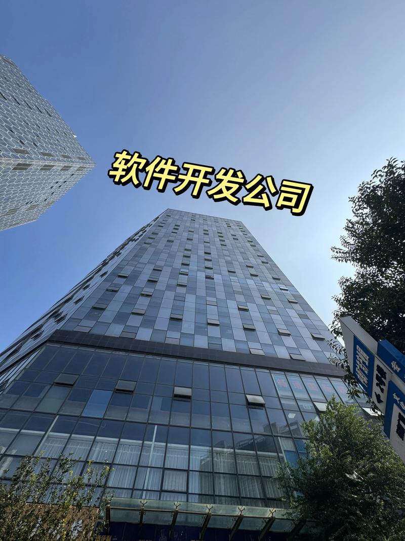 软件定制开发:企业高效定制创新的良策